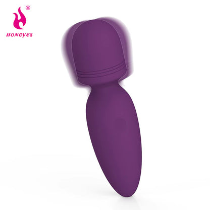 Mini Vibrator