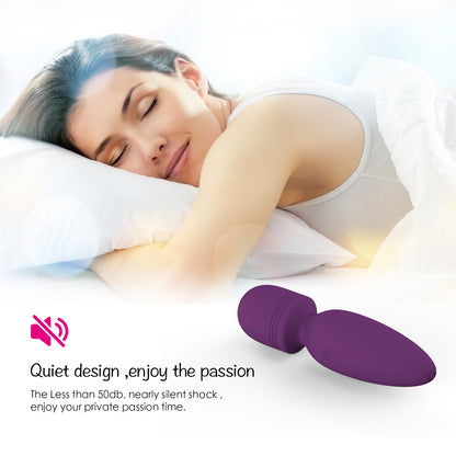 Mini Vibrator