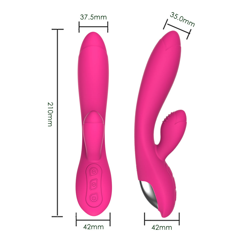 Dual Vibrators