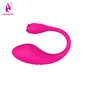 Remote Control Wireless Vibrator Egg