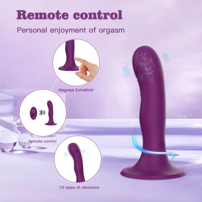 Multi-Speed Vibrating Dildo